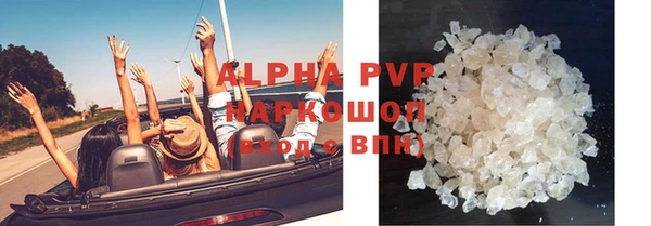 a pvp Каменногорск