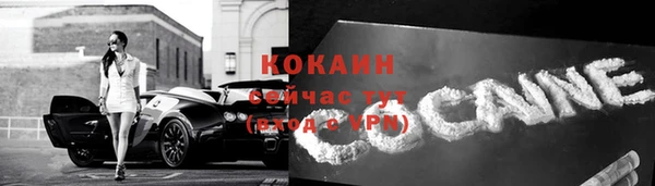 a pvp Каменногорск