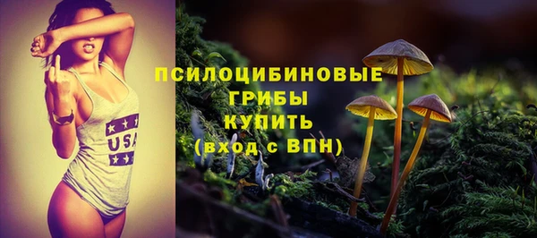 a pvp Каменногорск
